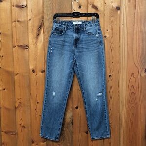 Hidden Los Angeles Straight Leg High Rise Distressed Denim Jeans
